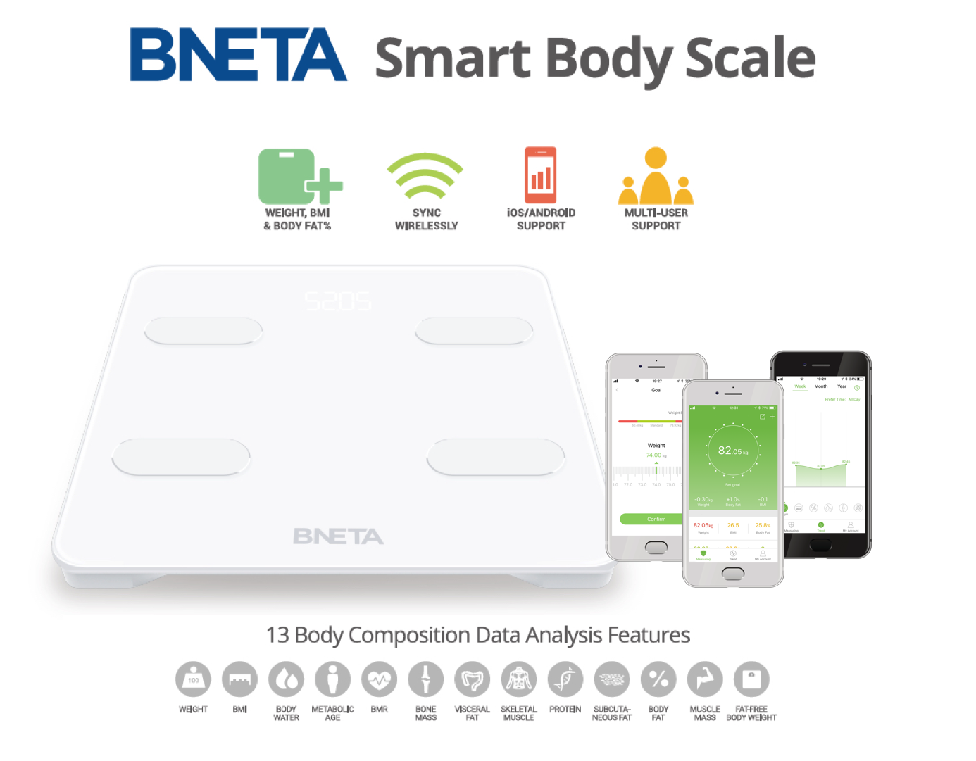 https://www.bneta.co.za/wp-content/uploads/2017/11/BNETA-Scale_04.png