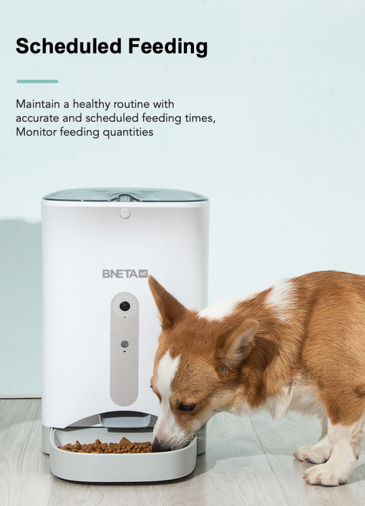 iot dog feeder