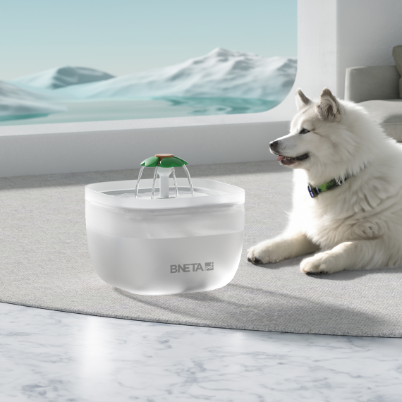 BNETA Pet Automated 2L Water Fountain W7 - Image 4
