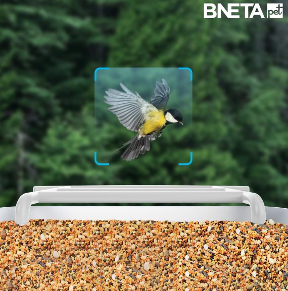 BNETA Pet Smart AI Birdfeeder BF002 - Image 8