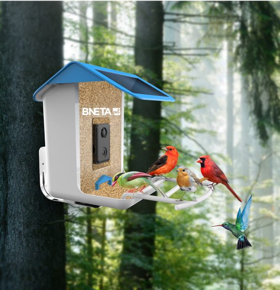 BNETA Pet Smart AI Birdfeeder BF002 - Image 9