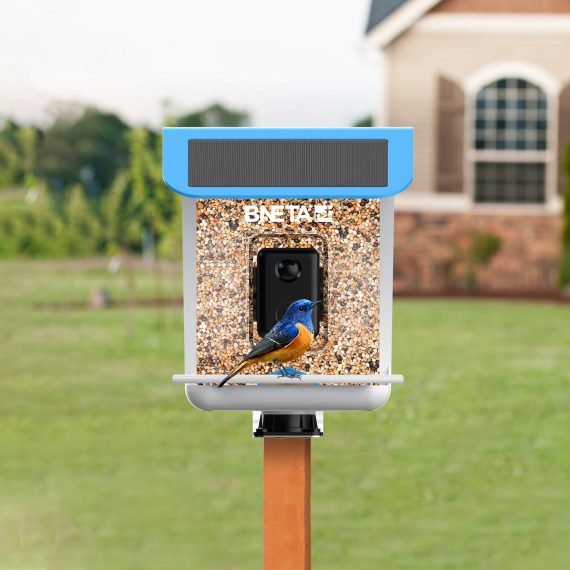 BNETA Pet Smart AI Birdfeeder BF002 - Image 10