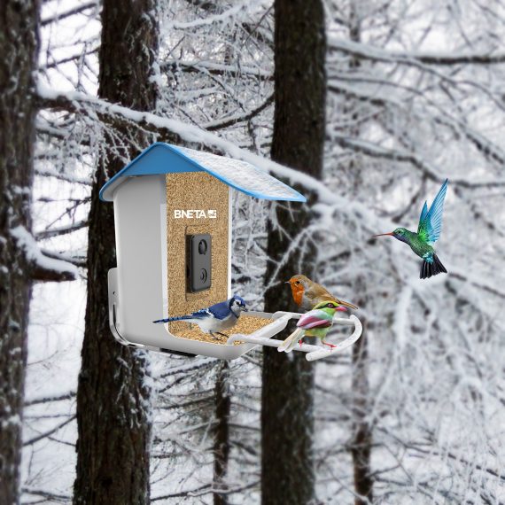 BNETA Pet Smart AI Birdfeeder BF002 - Image 11