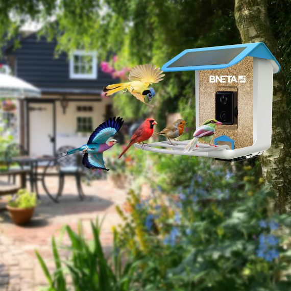 BNETA Pet Smart AI Birdfeeder BF002 - Image 13