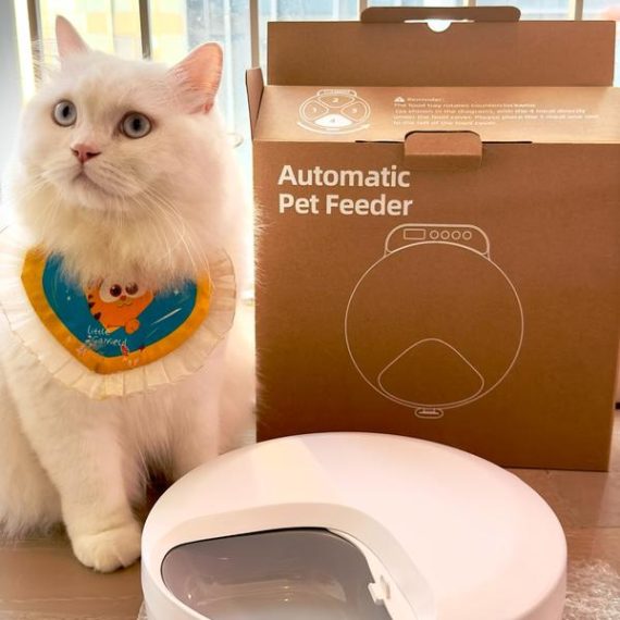 BNETA Pet Automatic Wet Food Battery Feeder F26 - Image 5