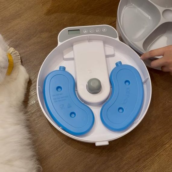 BNETA Pet Automatic Wet Food Battery Feeder F26 - Image 10