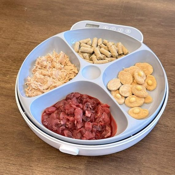 BNETA Pet Automatic Wet Food Battery Feeder F26 - Image 8