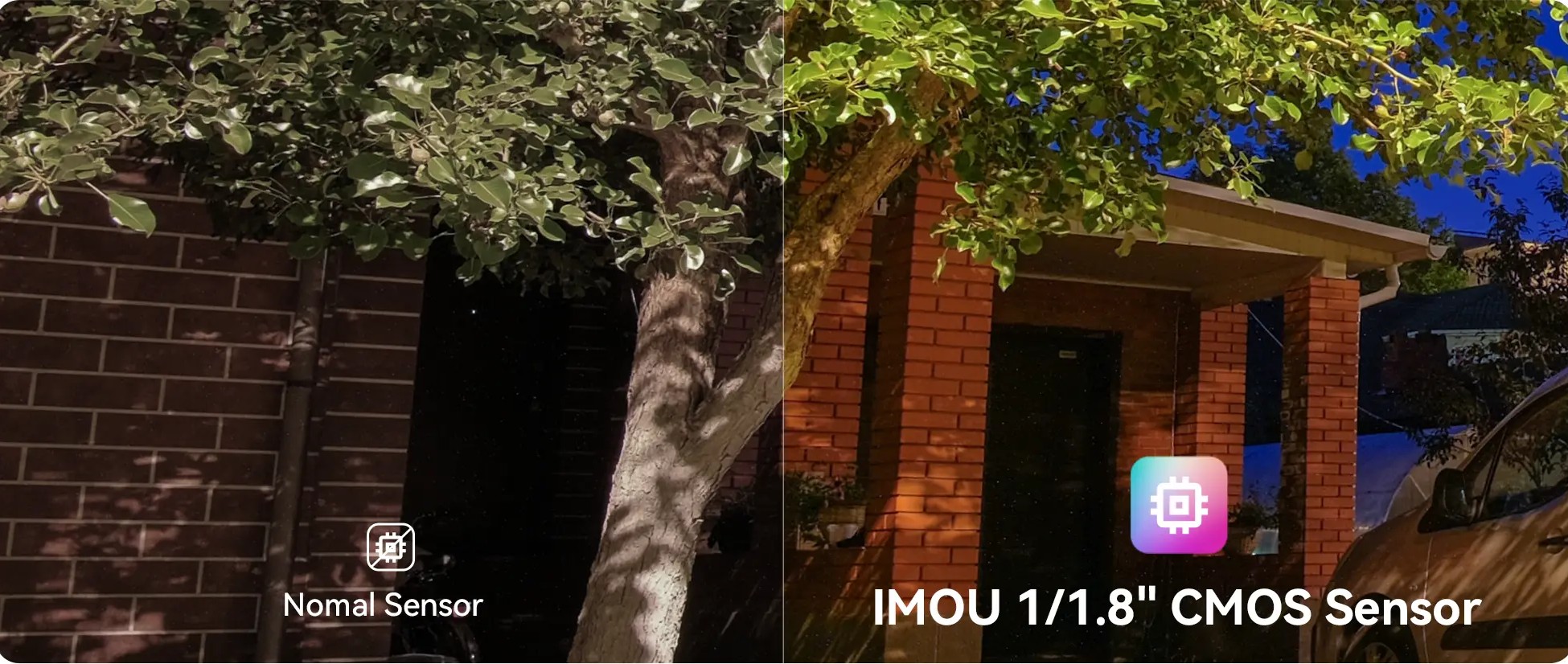 TitanW_03 - BNETA Titan Pro